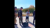 портки