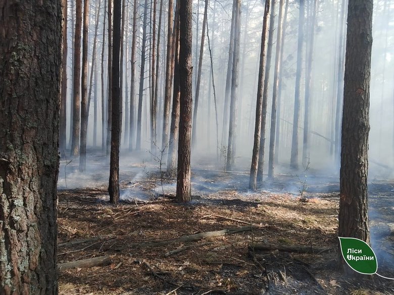 Three forest districts of the Capital Forest Office were affected by a drone and rocket attack
