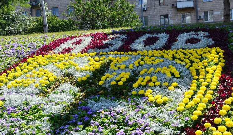 У Києві створили квіткове панно на честь "Азову". ФОТО