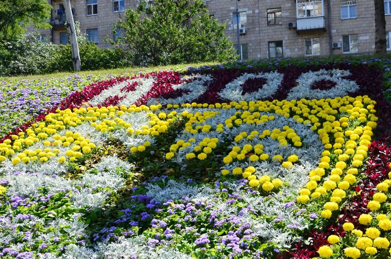 В Киеве создали цветочное панно в честь Азова 01