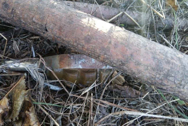 За неделю инженеры Нацгвардии обезвредили в зоне ООС 9 снарядов 02