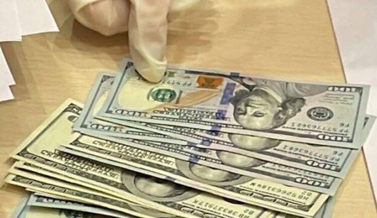 Вирішення питання щодо землі за $10000: на Київщині депутата міськради засудили до двох років ув’язнення