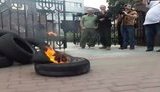 шины