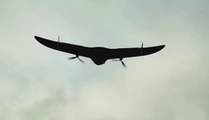 Підрозділ SIGNUM за добу знищив 20 російських безпілотників. ВIДЕО