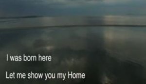 "I was born here. Let me show you my home," - new patriotic footage about Ukraine. VIDEO