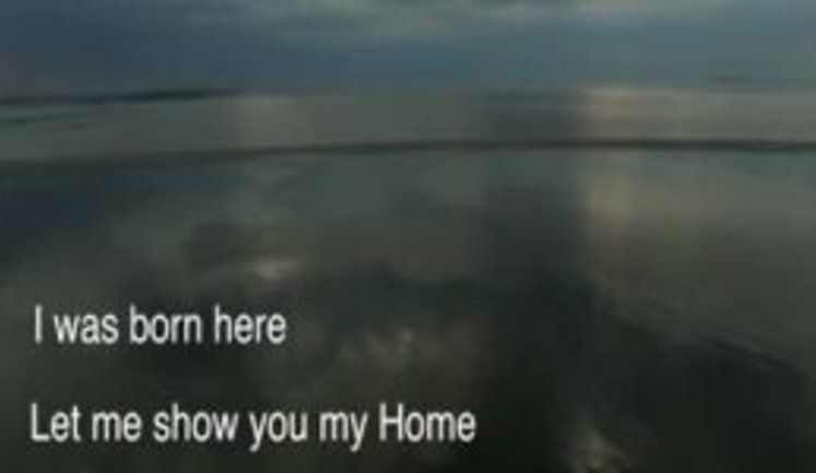 "I was born here. Let me show you my home," - new patriotic footage about Ukraine. VIDEO
