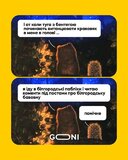 Сьогодення