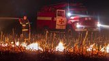 Правоохоронний комітет рекомендує Раді посилити відповідальність за пожежі в екосистемах