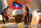 Чистая правда
