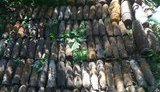 114 артснарядів часів Другої світової війни виявлено в лісі в Святошинському районі Києва, - ДСНС. ФОТО