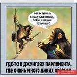 Політична мавпологія