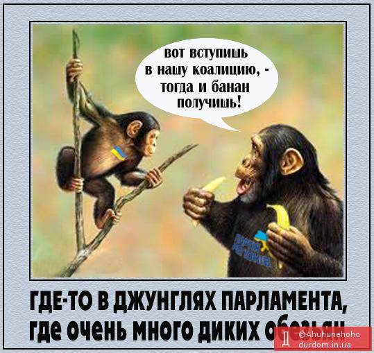 Політична мавпологія