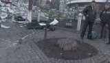 погибших тела