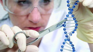 Медицинская сеть "Оксофрд Медикал" купила клинику семейной медицины у конкурентов