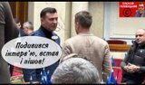 Цілющі властивості