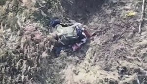 Окупанти безуспішно ховаються за деревами від дронів 414 бригади СБС. ВIДЕО