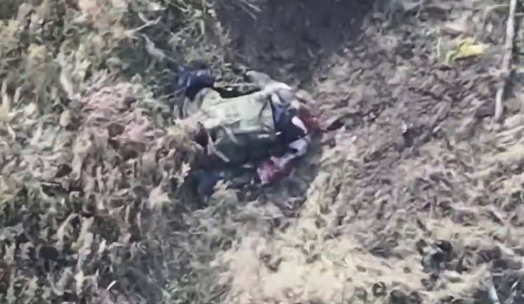 Окупанти безуспішно ховаються за деревами від дронів 414 бригади СБС. ВIДЕО