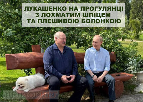 фотожаба