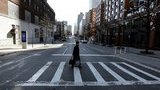 COVID-19: количество зараженных в Нью-Йорке пошло на спад после экстренных мер. ФОТОрепортаж