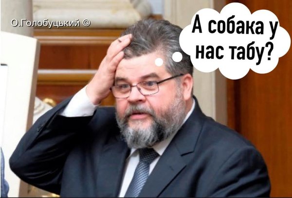 Прощай, Шарик... Пришли из облгаза! Мудрый совет Слуги народа в ФОТОжабах 15