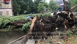У Києві пройшов ураган зі зливою: повалено дерева, затоплено вулиці. ВІДЕО+ФОТОрепортаж