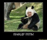 Панду геть!