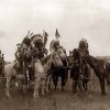 Василий Васильев #336906