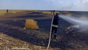 Росіяни атакували Пологівський район на Запоріжжі: горіло поле пшениці. ФОТО