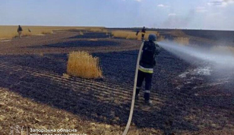 Росіяни атакували Пологівський район на Запоріжжі: горіло поле пшениці. ФОТО