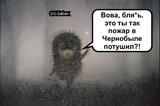 Вова...