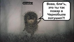 Вова...