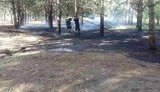 Ukrainian MPs double fines for forest fires
