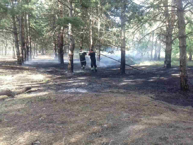 В лесах Николаевщины произошли пожары 02