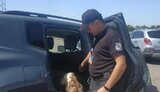 В прибывших в контейнерах из США автомобилях нашли патроны и наркотики, - Госпогранслужба. ФОТО