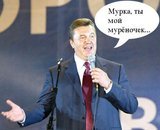 Мурка, ты мой муреночек...