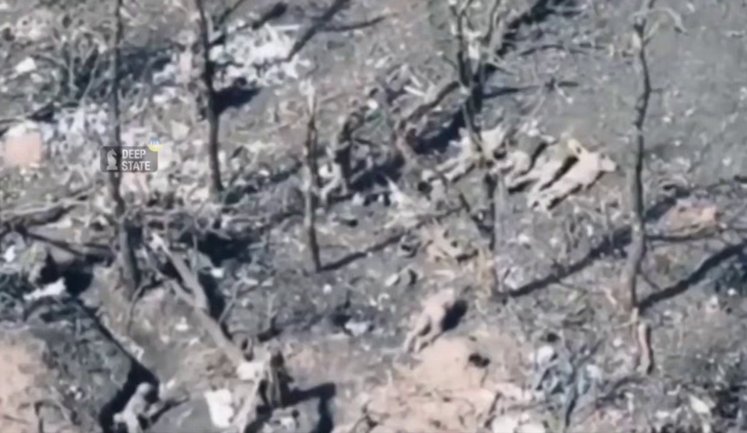 Российские оккупанты расстреляли 5 украинских военнопленных. ВИДЕО