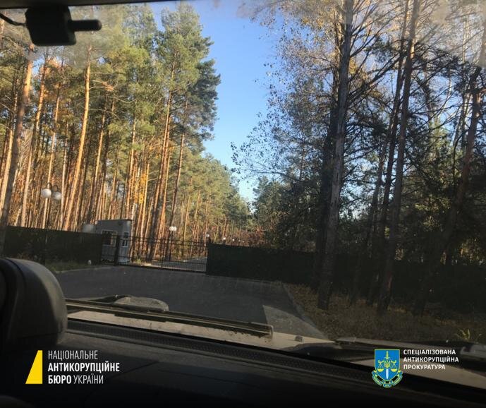 ліс, набу, київщна