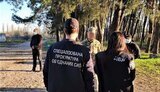 Военнослужащий, продававший наркотики сослуживцам, задержан на Харьковщине, - прокуратура. ФОТО