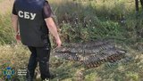Тайник с артснарядами к бронетехнике выявлен на Луганщине, - СБУ. ФОТО