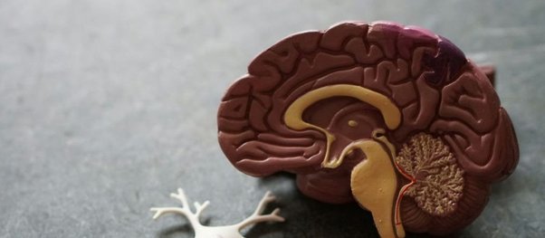 Цензор.НЕТ Зображення