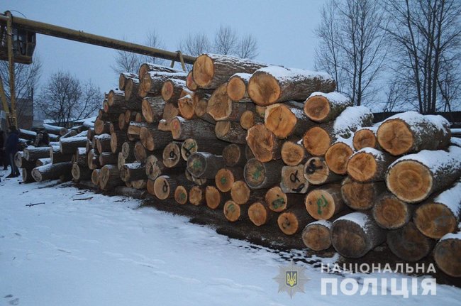 Поліція на Чернігівщині затримала групу чорних лісорубів 03
