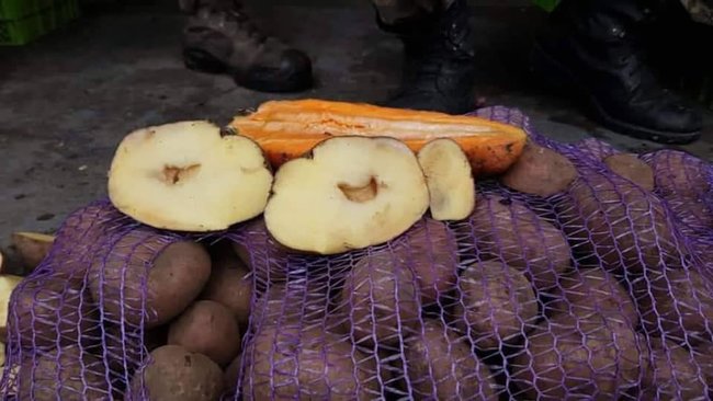 Компанія Військсервіс Волонтер поставляє в ЗСУ тухле мясо і гнилі овочі та фрукти, - депутатка Голосу Бобровська (доповнено) 01