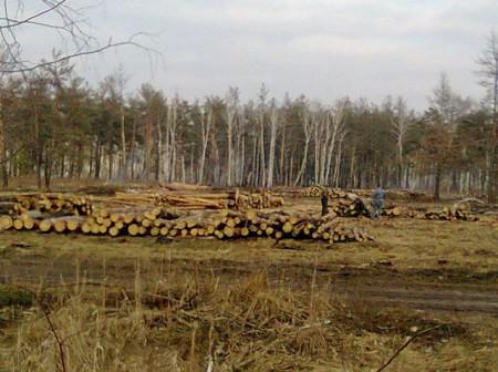 Цензор.НЕТ Изображение