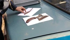 У Херсоні чоловіки порізали чотирьох цуценят і збиралися їх з'їсти. ФОТО