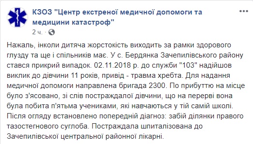 Група учнів на перерві жорстоко побила 11-річну дівчинку на Харківщині 01