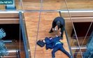 драка европарламент