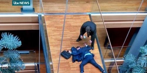драка европарламент