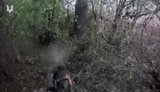 Special Operations Forces soldiers eliminated a Russian soldier in the forests of the Donetsk region