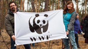 Робота в WWF: українська команда шукає спеціаліста з комунікацій у Львові