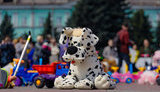 кам&#39;янське